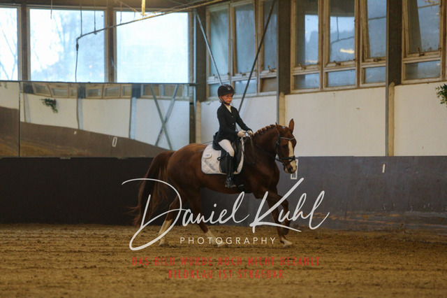 IMG_8188 | Turniersportfotografie; Pferdefotografie; Dressurfotografie