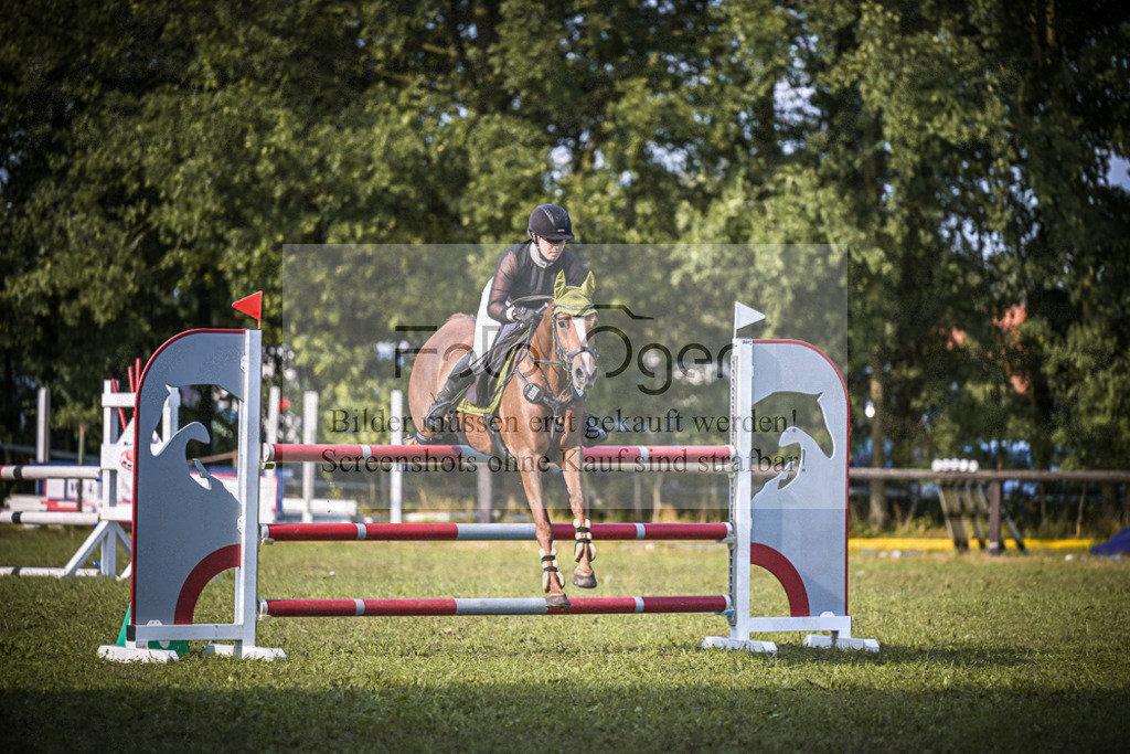DOS_1543 | Entdecke hochwertige Reitturnierfotos von Foto Oger. Professionell, emotional und authentisch – jetzt Lieblingsmomente im Shop bestellen.Deutschlandweite Turnierfotografie. - Realisiert mit Pictrs.com