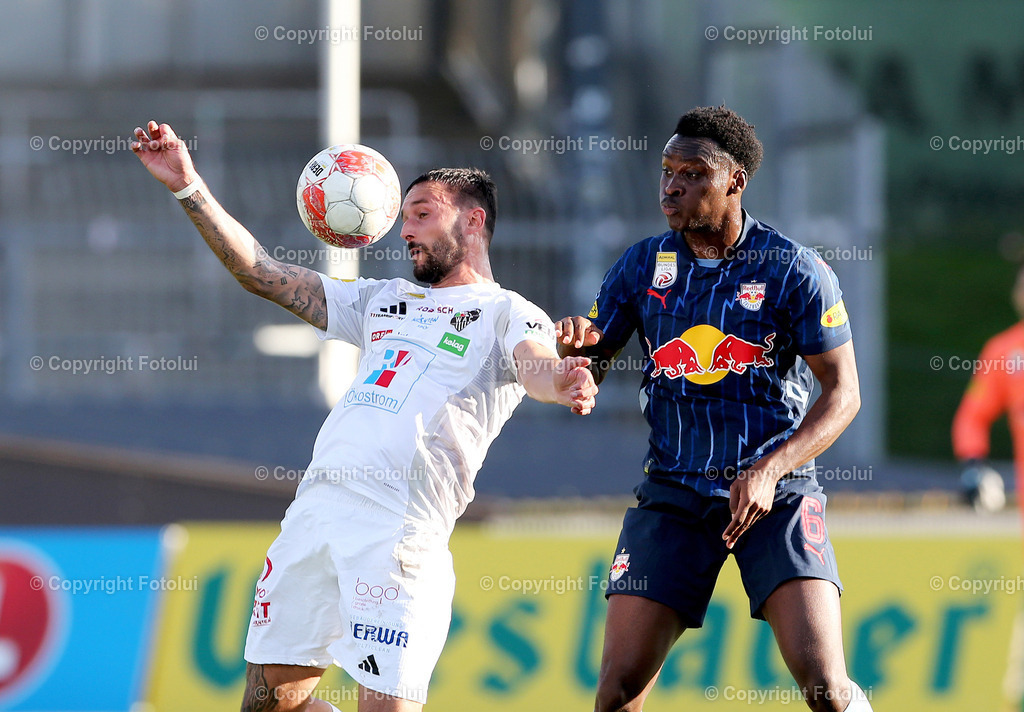 A_LUI-271124_06 | SPORT FUSSBALL ADMIRAL BUNDESLIGA RZ PELLETS  WAC-RED BULL SALZBURG IM BILD:MARKUS PINK (WAC) UND SAMSON BAIDOO(RED BULL SALZBURG) FOTO:FOTOLUI/MW