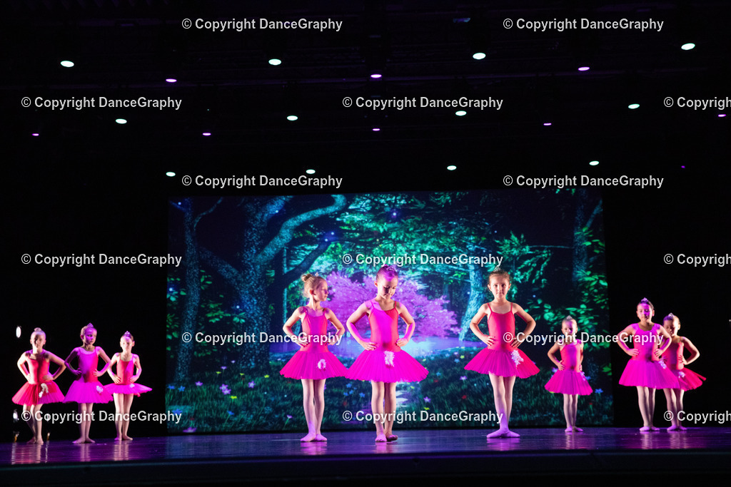 GPHY6033 | DanceGraphy - Realisiert mit Pictrs.com