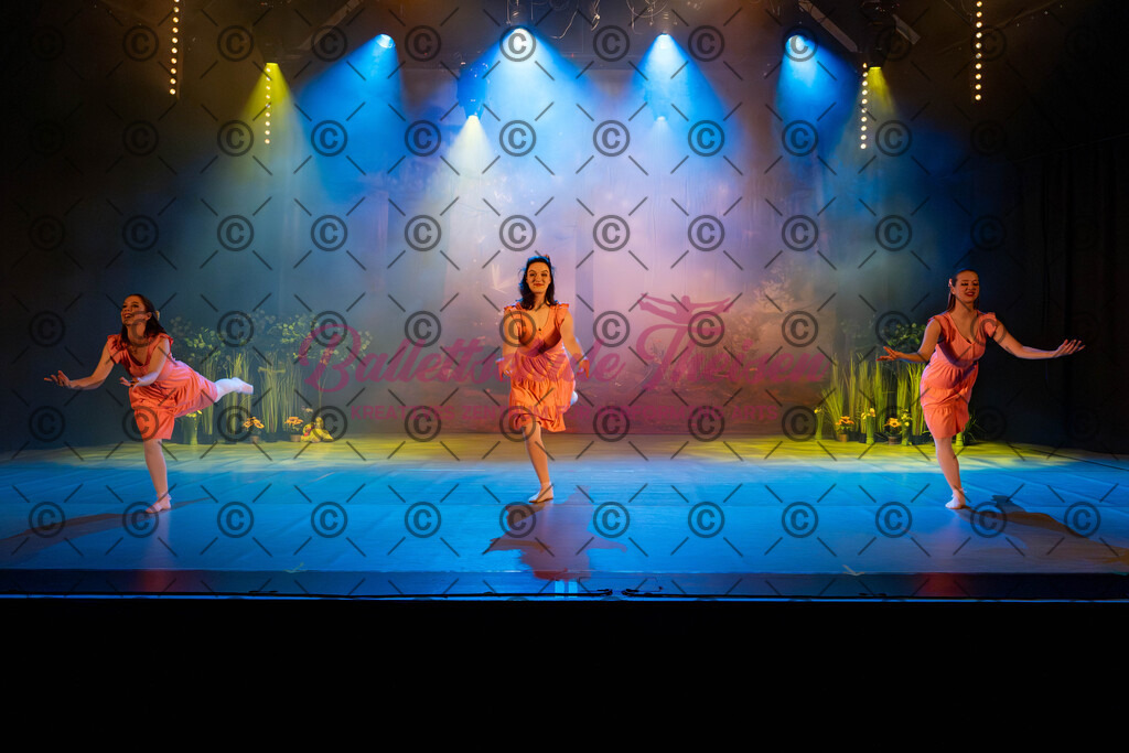Ballettaufführung-64 | Bildershop Lem'n Entertainment - Realisiert mit Pictrs.com