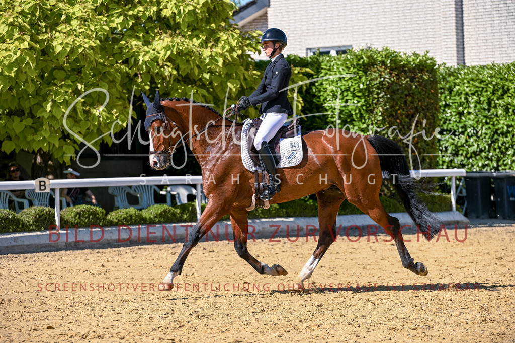 Schugtsche-Aluta25-50.Dressurpferdeprf.L-144 | Schugtsche Fotografie - Realisiert mit Pictrs.com