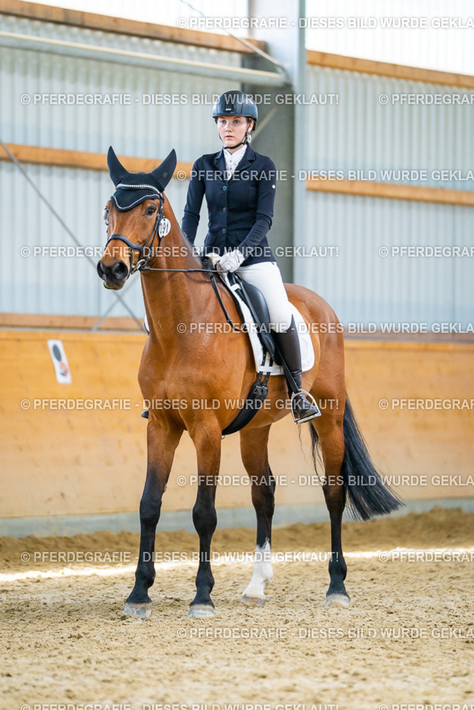 DSC09198 | Pferdegrafie