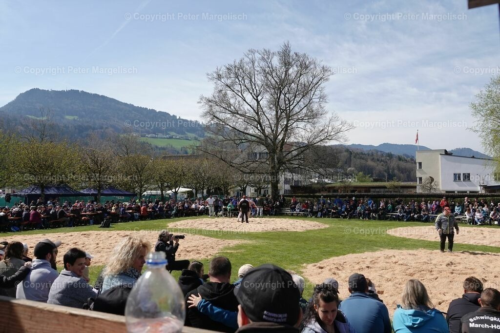 k-DSC03034 | Schwingen - Realisiert mit Pictrs.com