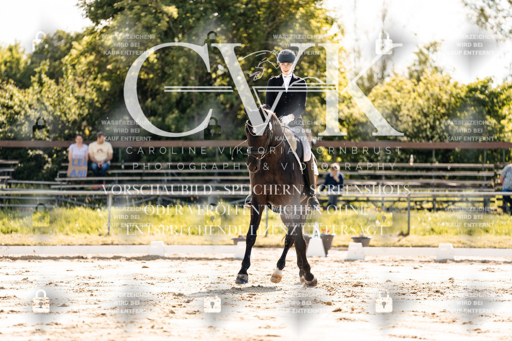 CK909224 | Turnierfotografie Pferdefotografie Trier Rheinland-Pfalz Pferdesport Reitsport Tierfotografie Sportfotografie Pferdevideo Pferdevideografie Equestrianvideography equestrianphotography  - Realisiert mit Pictrs.com