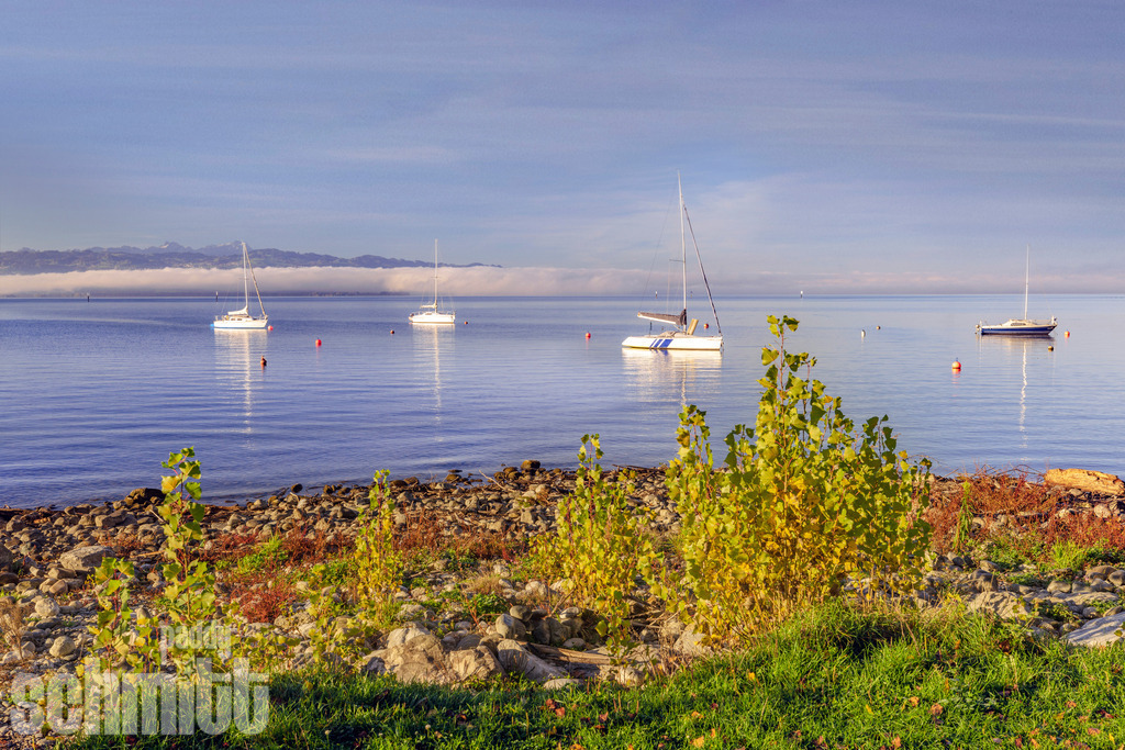 Segelboote am Bodensee bei Sonnenaufgang | Sanftes Morgenlicht liegt über dem Bodensee, während die ersten Segelboote ruhig über das Wasser gleiten. Die warme Stimmung des Sonnenaufgangs und ruhige Wasseroberfläche verleihen der Aufnahme eine besondere Leichtigkeit und Idylle. - Realisiert mit Pictrs.com