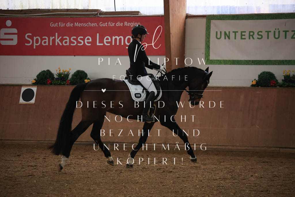 IMGT6799 | pl-fotografie