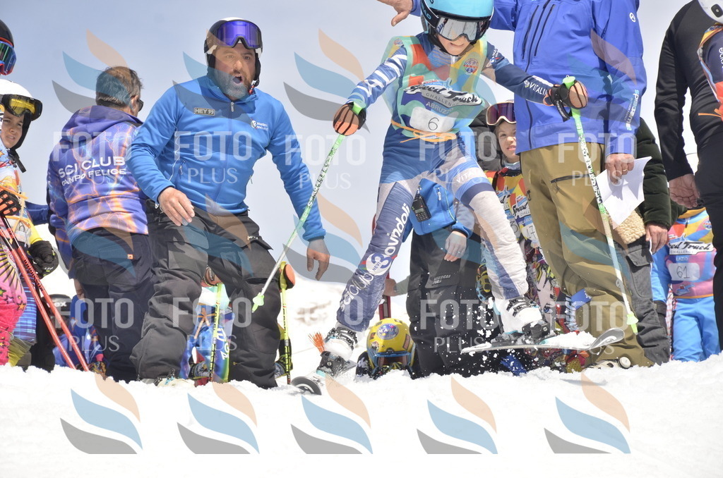 _ELE8515 | holidayphoto