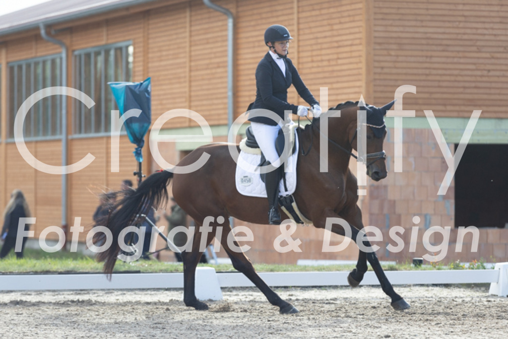 IMG_9971 | Creatify Fotografie