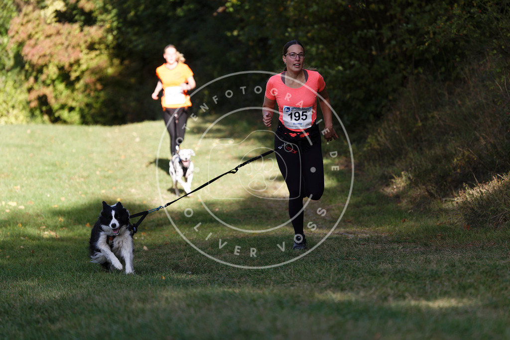 0L8A5706 | Hundefotografie, Tierfotograf, Pfotenfotografie, Fotoshooting Hund, Hunde Portrait, Hundesport, Hundeportraits, Heideshooting, Hunde, Sportfotograf, Hundefotograf, Turnierhundsport, THS,  - Realisiert mit Pictrs.com
