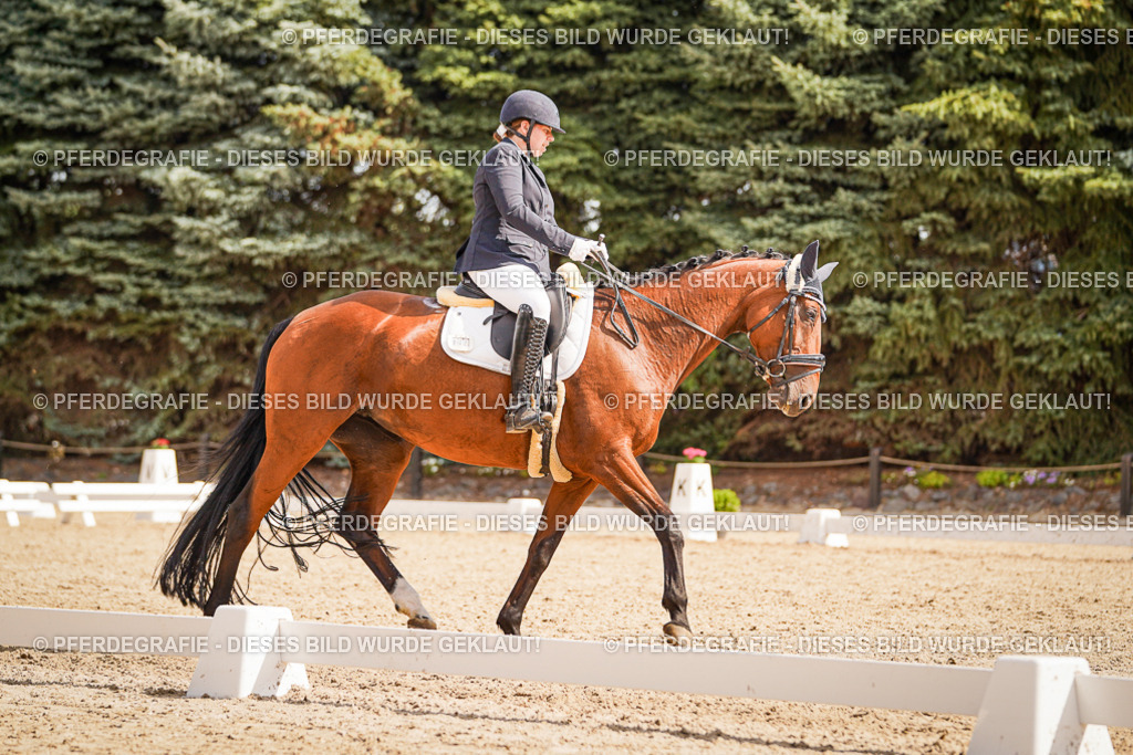 DSC01265 | Pferdegrafie