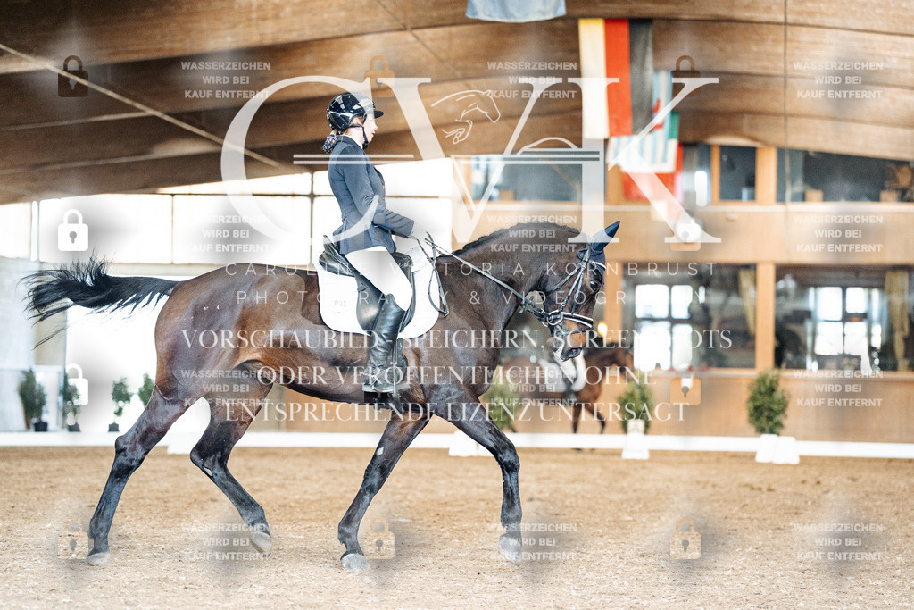CK901370 | Turnierfotografie Pferdefotografie Trier Rheinland-Pfalz Pferdesport Reitsport Tierfotografie Sportfotografie Pferdevideo Pferdevideografie Equestrianvideography equestrianphotography  - Realisiert mit Pictrs.com