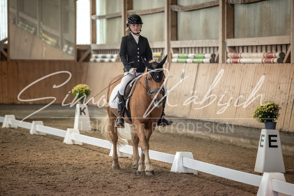 20251011-_3LI6793 | Tierfotografie Pferde, Hunde, Katzen, Haustiere.
Turnierfotografie Reitturniere, Reiten, Springreiten, Dressur in Hanau, dem Main-Kinzig-Kreis und dem Rhein-Main- Gebiet um Frankfurt