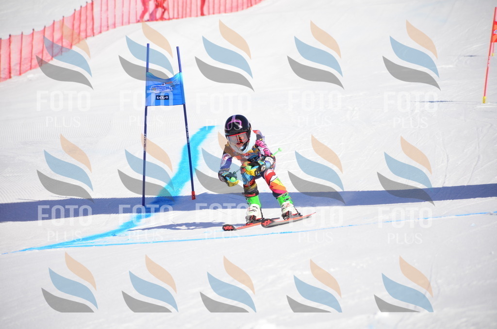 VR4_8446 | holidayphoto