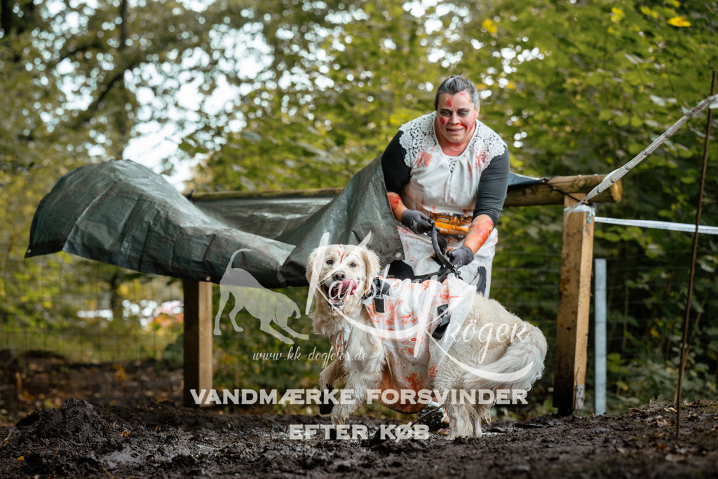 1428DZ6_2487Z6 | kk-dogfotos
