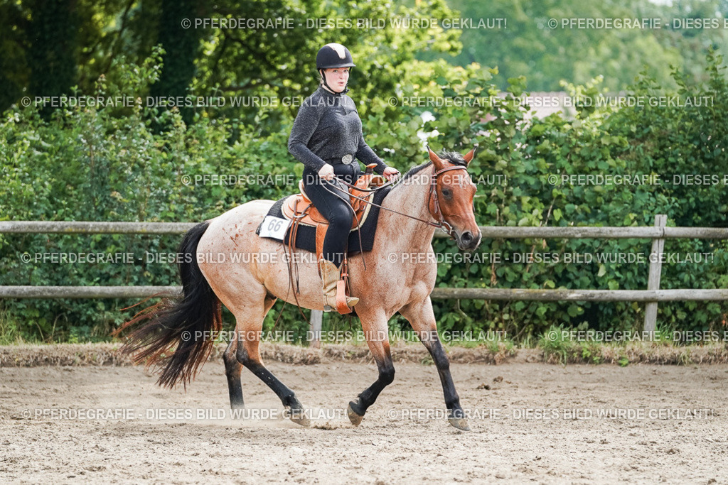 DSC04486 | Pferdegrafie