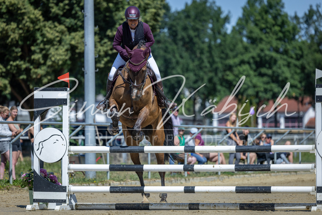20260704-_3LI7673 | Tierfotografie Pferde, Hunde, Katzen, Haustiere.
Turnierfotografie Reitturniere, Reiten, Springreiten, Dressur in Hanau, dem Main-Kinzig-Kreis und dem Rhein-Main- Gebiet um Frankfurt