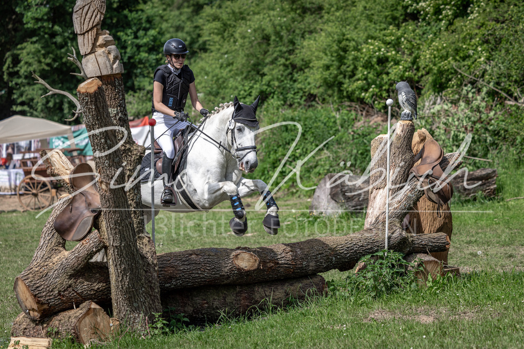 20260523-_3LI9181 | Tierfotografie Pferde, Hunde, Katzen, Haustiere.
Turnierfotografie Reitturniere, Reiten, Springreiten, Dressur in Hanau, dem Main-Kinzig-Kreis und dem Rhein-Main- Gebiet um Frankfurt