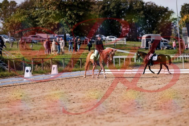 2026_10_03_Siefer-Hof_122029_Z81_20644205 | Professionelle Reitsport-, Turnier- und Eventfotografie von Robert Broda. Galerien mit ausgewählten und bearbeiteten Bildern direkt online ansehen und bestellen.