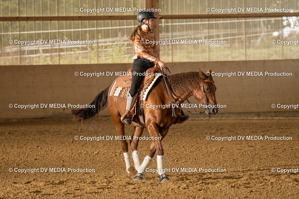 LAU01704 | dv-media-shop - Realisiert mit Pictrs.com