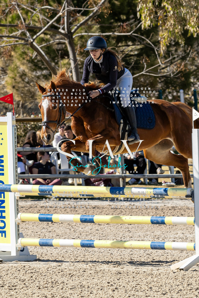 IMG_1321 | s-jay-photography - Realisiert mit Pictrs.com