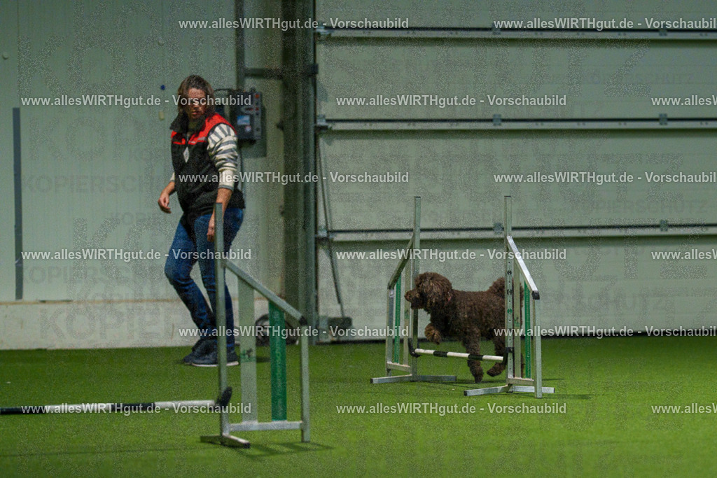 7R508369 | Professionelle Tierfotografie in Mönchengladbach von Daniel Wirth (allesWIRTHgut). Liebevolle & natürliche Bilder von Hunden & Katzen für unvergessliche Erinnerungen.