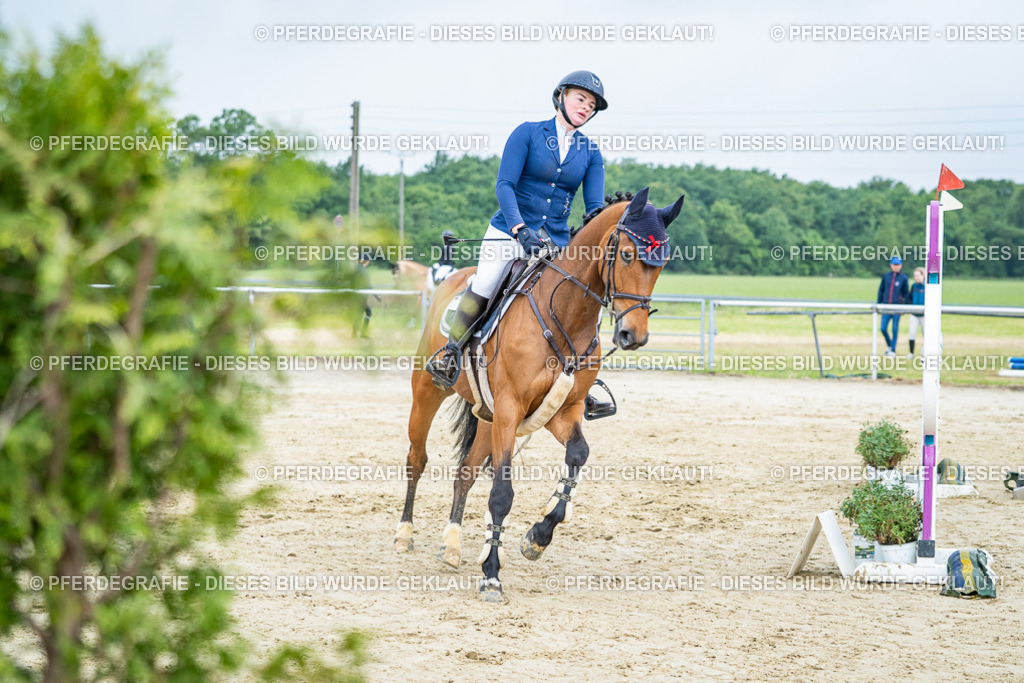 DSC01839 | Pferdegrafie