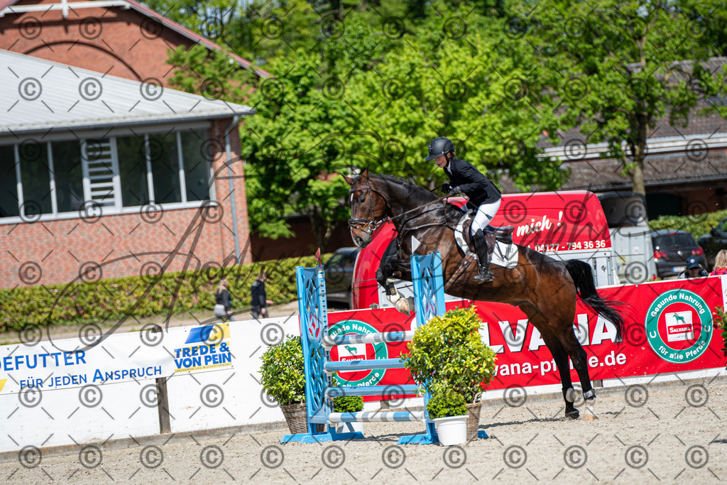 KPT_5217 | andre_photographic