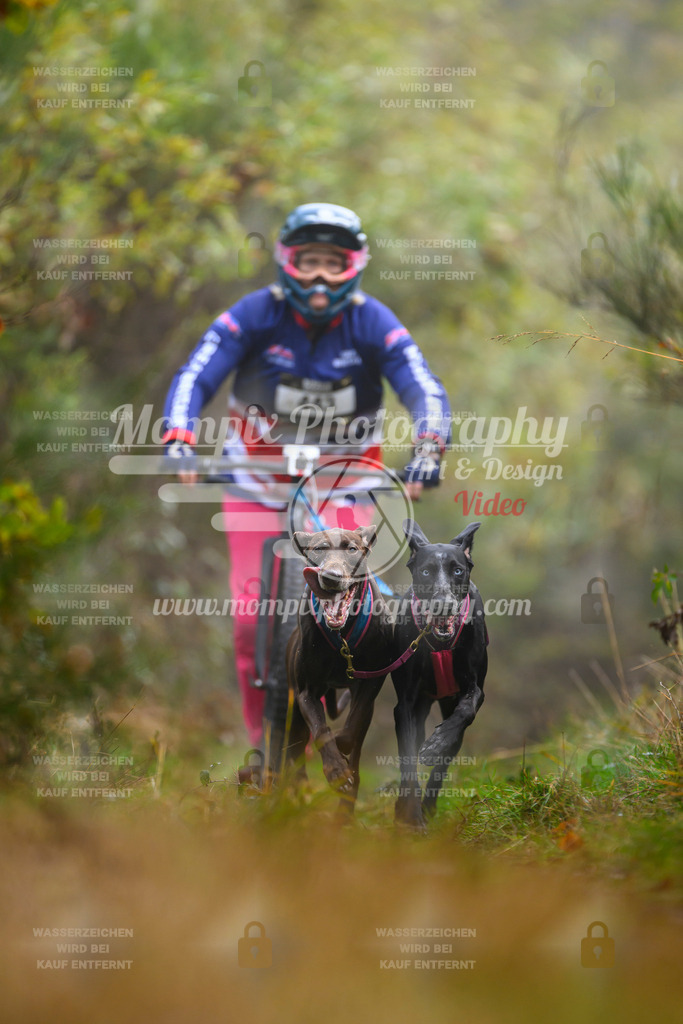 MompixPhotography_20TSB_E4_DS2-32 | PayLife