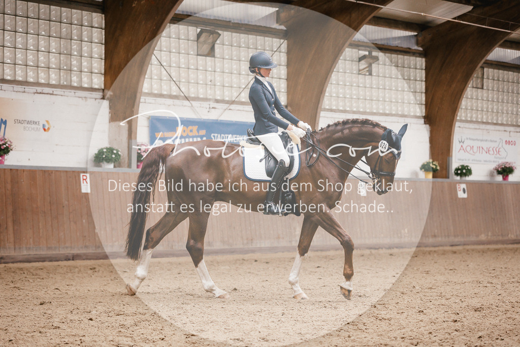 3I6A8532 | Stimmungsvolle Portraits und Reitsportfotografie im Ruhrgebiet und im Münsterland.

Pferdefotografie, Hundefotografie, Tierfotografie, Reportagen, Portraits von Tier und Mensch, Turnierfotografie in Bochum, Recklinghausen, Marl, Haltern am See, Dülmen.. - Realisiert mit Pictrs.com