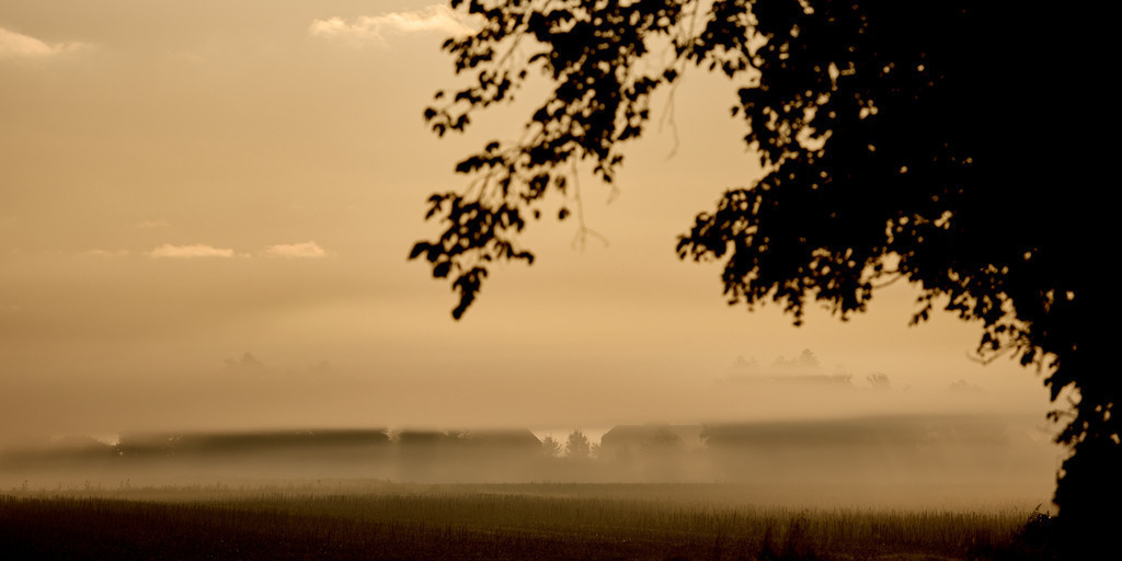 Nebel 1 | kleinen-fotografie