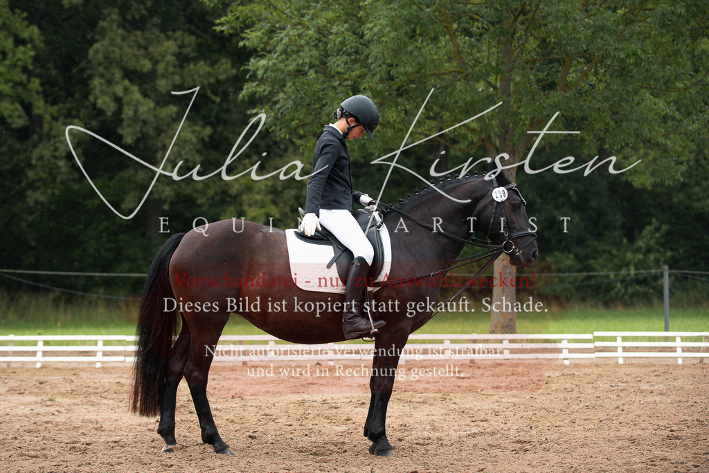 DSC_9943 | Pferde- und Turnierfotografie in Westsachsen. Pferdeportraits, Auftragszeichnungen und intuitive Kunst.