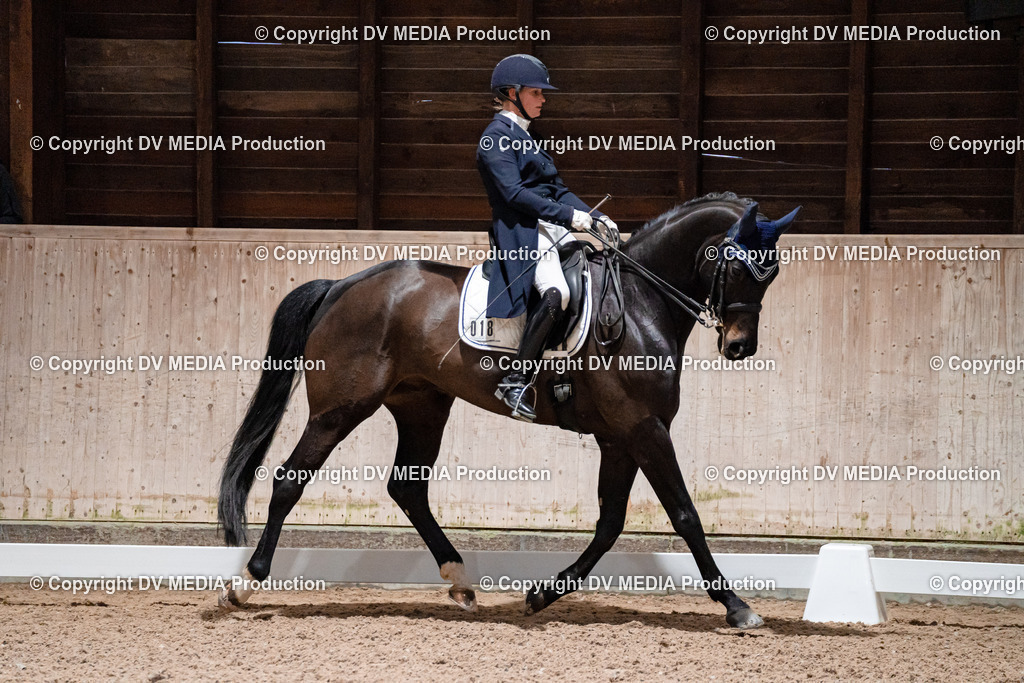 Dressur Tag 2-672 | dv-media-shop - Realisiert mit Pictrs.com