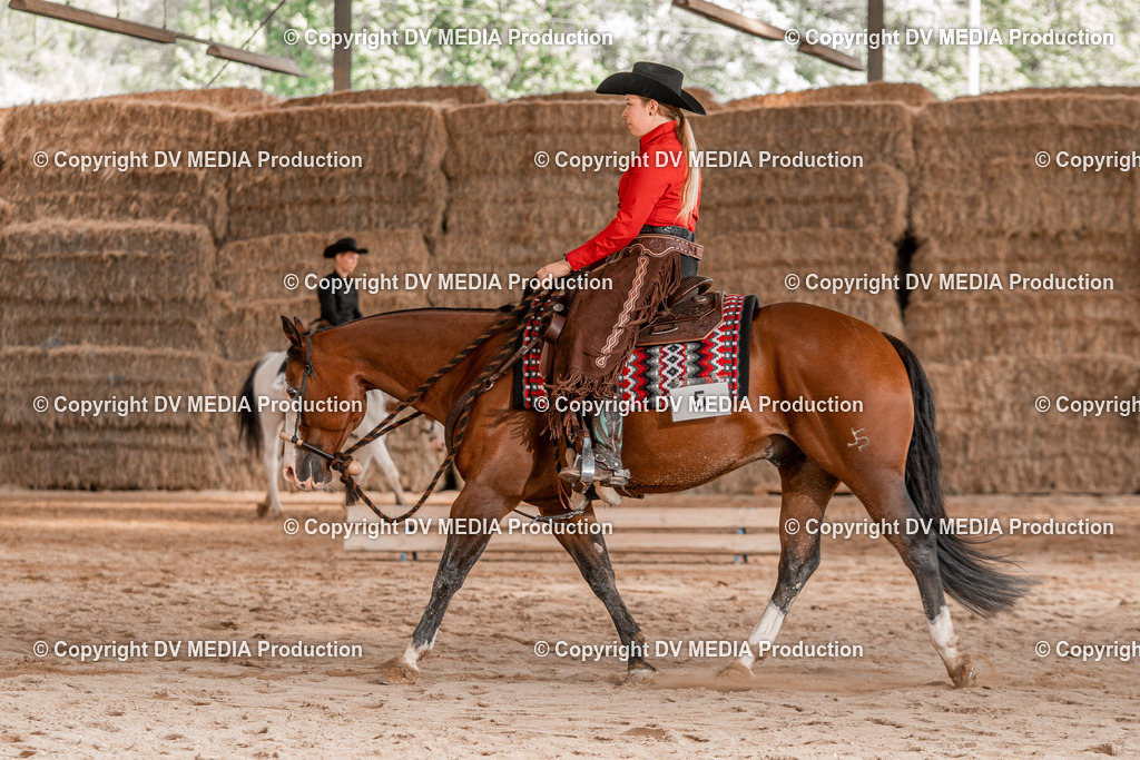 Balingen Tag 3-1102 | dv-media-shop - Realisiert mit Pictrs.com