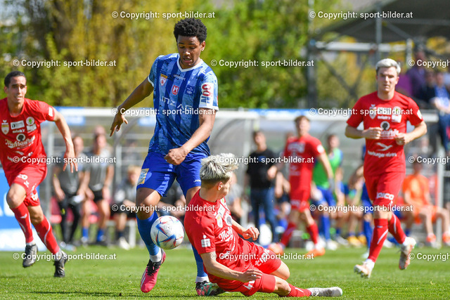 AUT, 2.Liga, FC Blau Weiss Linz vs FC Dornbirn 1913 | 22.04.2023, Hofmann Arena Linz, AUT, 2.Liga, FC Blau Weiss Linz vs FC Dornbirn 1913, im Bild Fally Mayulu (Blau Weiss Linz) vs Raul Peter Marte (Dornbirn)


// Admiral 2. Liga Match between FC Blau Weiss Linz vs FC Dornbirn 1913 in Linz, Austria on 2023/04/22
