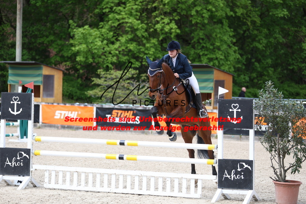 A40A2065 | lmwpictures - Realisiert mit Pictrs.com