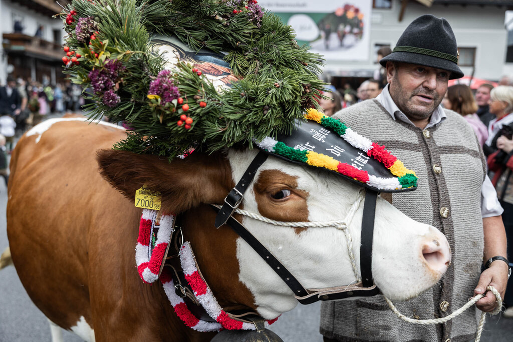 Rupertifest_Flachau_2k25_Webauflösung-180 | Bildershop Chri Fischbacher - Realisiert mit Pictrs.com