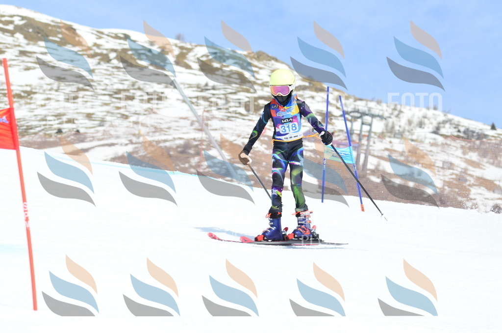 _ELE2431 | holidayphoto