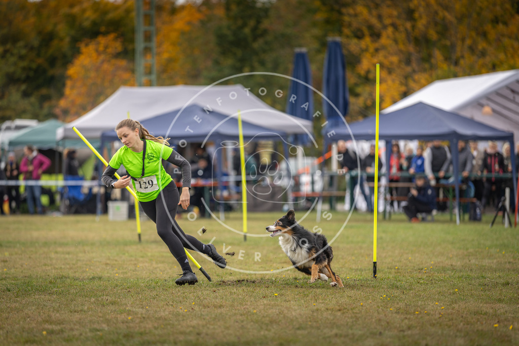 Pfotenfotografie_DV3A6860 | Hundefotografie, Tierfotograf, Pfotenfotografie, Fotoshooting Hund, Hunde Portrait, Hundesport, Hundeportraits, Heideshooting, Hunde, Sportfotograf, Hundefotograf, Turnierhundsport, THS,  - Realisiert mit Pictrs.com