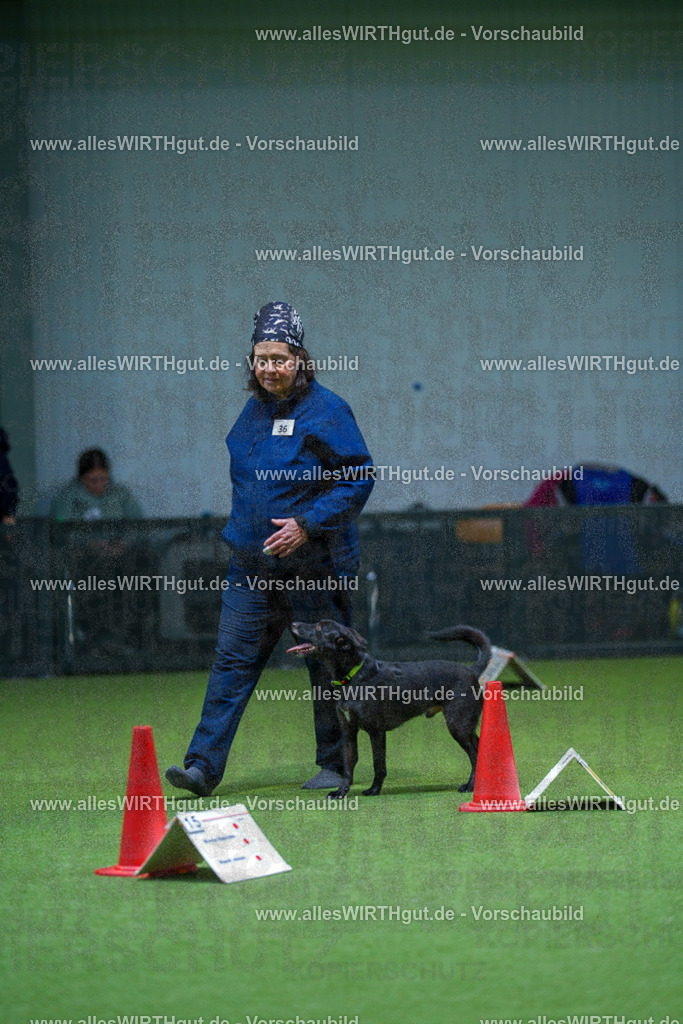 7R506012 | Professionelle Tierfotografie in Mönchengladbach von Daniel Wirth (allesWIRTHgut). Liebevolle & natürliche Bilder von Hunden & Katzen für unvergessliche Erinnerungen.