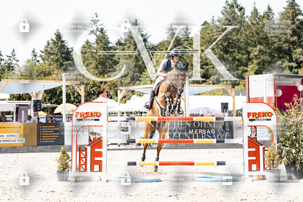 CK905138 | Turnierfotografie Pferdefotografie Trier Rheinland-Pfalz Pferdesport Reitsport Tierfotografie Sportfotografie Pferdevideo Pferdevideografie Equestrianvideography equestrianphotography  - Realisiert mit Pictrs.com