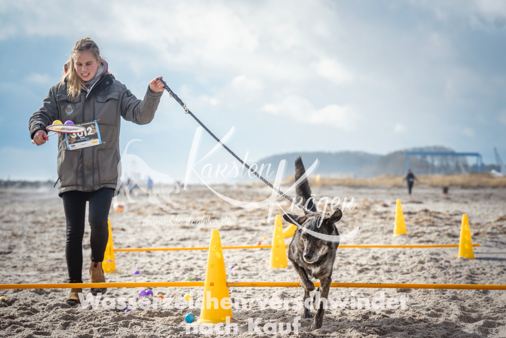 1157_ZZ93011 | kk-dogfotos