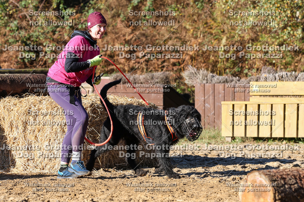 Dog Paparazzi - Strongdog 10-25-1653 | Dog Paparazzi Jeanette Grottendiek Fotografie & Videografie - Realisiert mit Pictrs.com