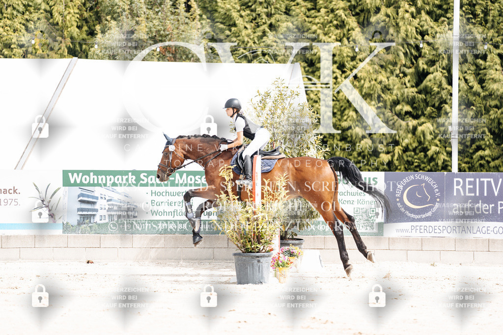 CK906286 | Turnierfotografie Pferdefotografie Trier Rheinland-Pfalz Pferdesport Reitsport Tierfotografie Sportfotografie Pferdevideo Pferdevideografie Equestrianvideography equestrianphotography  - Realisiert mit Pictrs.com