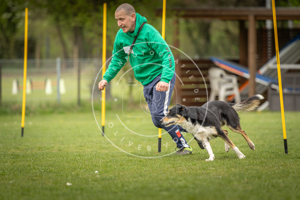 Pfotenfotografie_DV3A2150 | Hundefotografie, Tierfotograf, Pfotenfotografie, Fotoshooting Hund, Hunde Portrait, Hundesport, Hundeportraits, Heideshooting, Hunde, Sportfotograf, Hundefotograf, Turnierhundsport, THS,  - Realisiert mit Pictrs.com