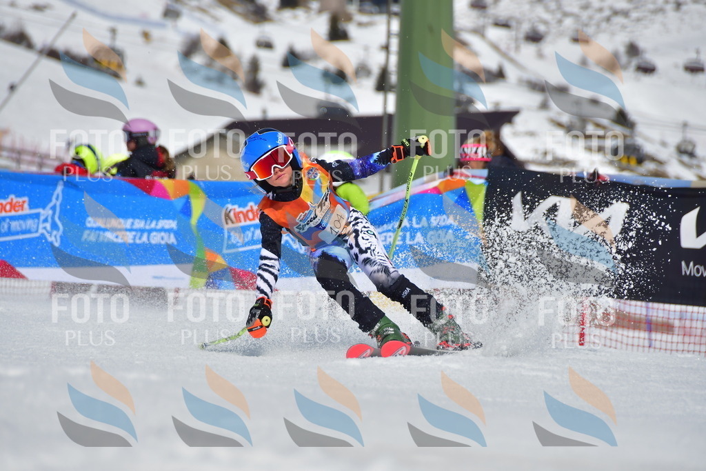 _DSC7633 | holidayphoto