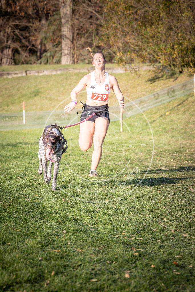 CaniXpix_0L8A9729 | Hundefotografie, Tierfotograf, Pfotenfotografie, Fotoshooting Hund, Hunde Portrait, Hundesport, Hundeportraits, Heideshooting, Hunde, Sportfotograf, Hundefotograf, Turnierhundsport, THS,  - Realisiert mit Pictrs.com