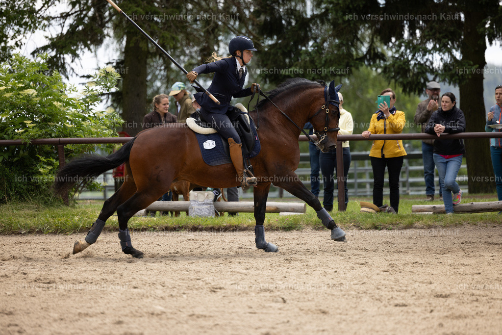 Masterclass_stoibphotography_C2_C8540.CR3 | working equitationturnier fotograf videograf stoibphotography marixx film working equitation deutschland reitsport turnierfotografie eventfotografie equestrian events