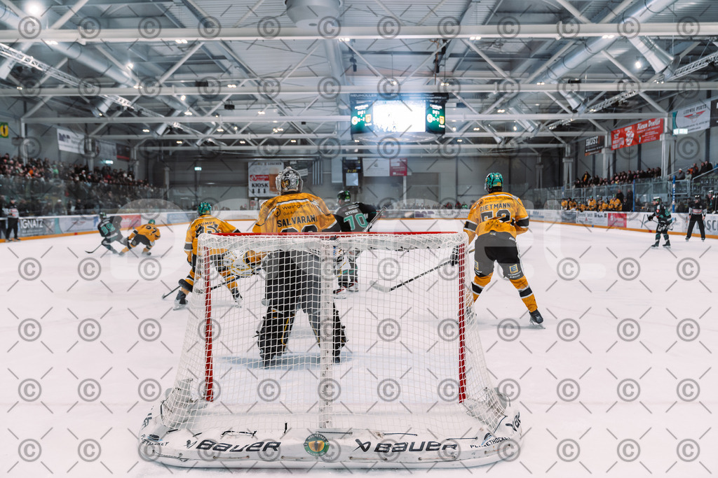 Alligators_vs_Toelz_18_11_2025-63 | Höchstadt Alligators Fotogalerie: Eishockey-Action aus Franken. Professionelle Spielfotos, Portraits & Stadionbilder zum Download. Jetzt entdecken! - Realisiert mit Pictrs.com