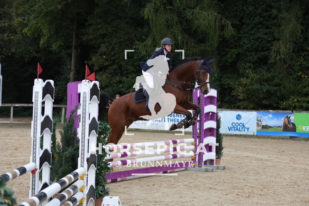 0P6A5085 | Willkommen bei Brunnmayr - Design & Fotografie – Ihrem Spezialisten für Reitturniere und Pferdeveranstaltungen in Oberösterreich, Salzburg und Bayern! Seit über 17 Jahren sind wir leidenschaftlich dabei.